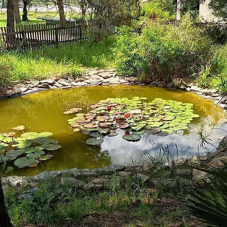 La Colorette Nyaraló Calvisson