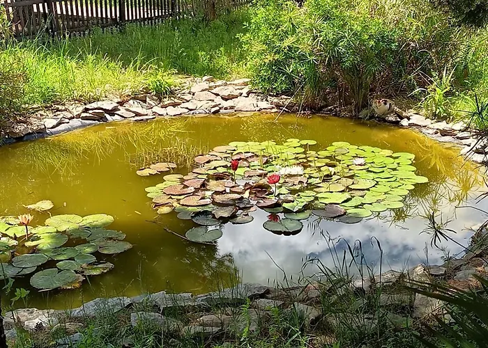 La Colorette Tatil Evi Calvisson