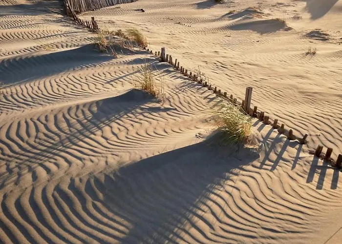 La Colorette Tatil Evi